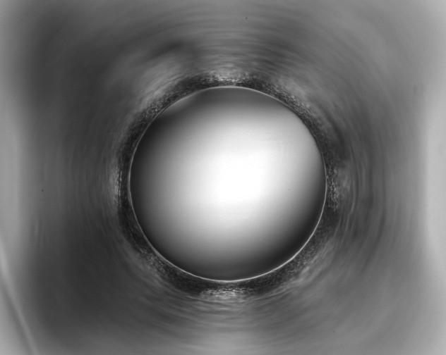 X0000096720639200802051443