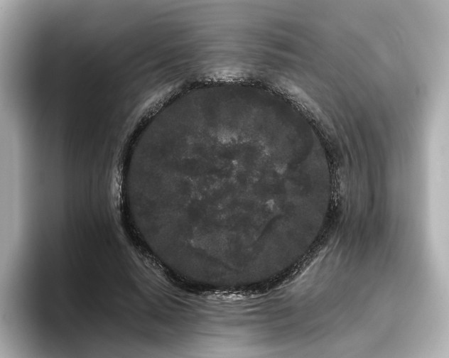 X0000096720640200802051443