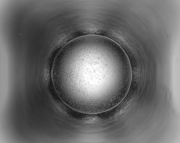 X0000096720642200802051443