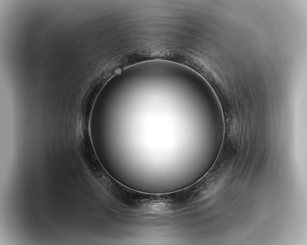 X0000096720643200802051443