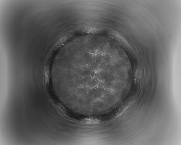 X0000096720644200802051443