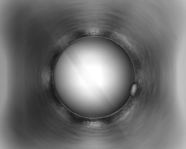 X0000096720645200802051443