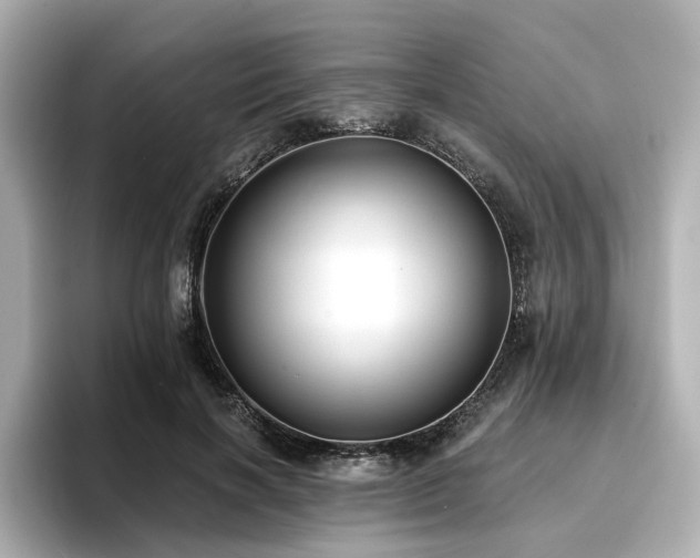 X0000096720646200802051443