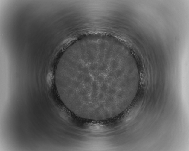X0000096720648200802051443
