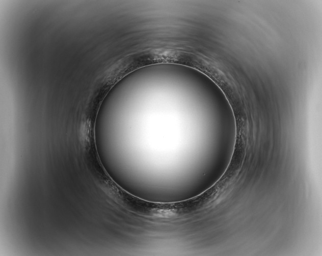 X0000096720649200802051444