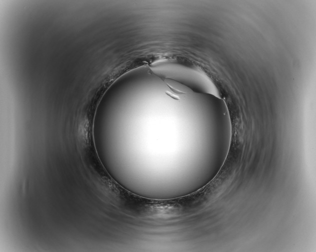 X0000096720650200802051444