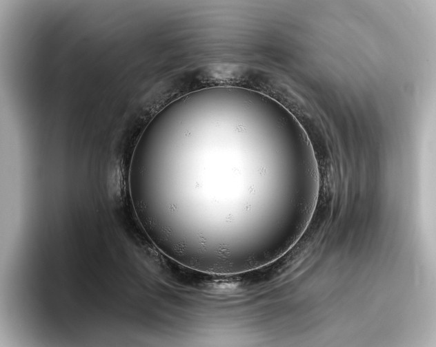 X0000096720651200802051444
