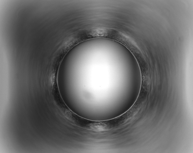 X0000096720652200802051444