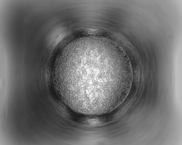 X0000096720653200802051444