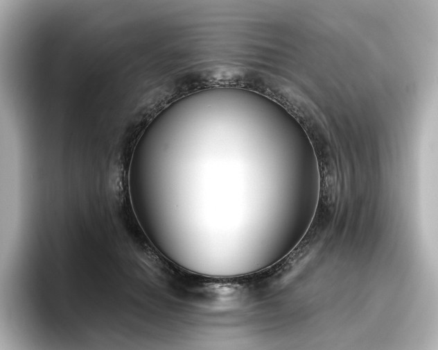X0000096720654200802051444