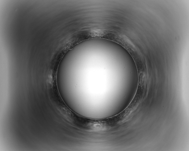 X0000096720655200802051444