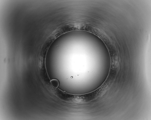 X0000096720656200802051444
