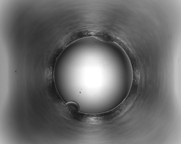 X0000096720657200802051444