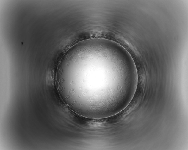 X0000096720661200802051444
