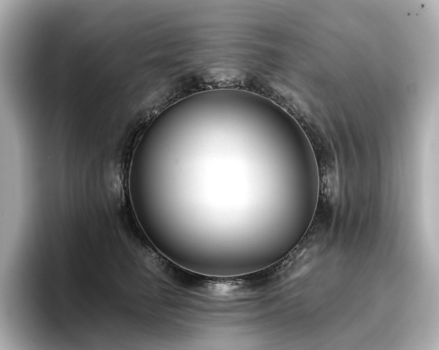 X0000096720662200802051444