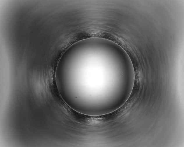 X0000096720664200802051444
