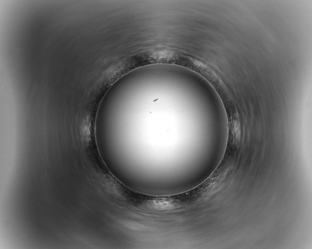 X0000096720668200802051444