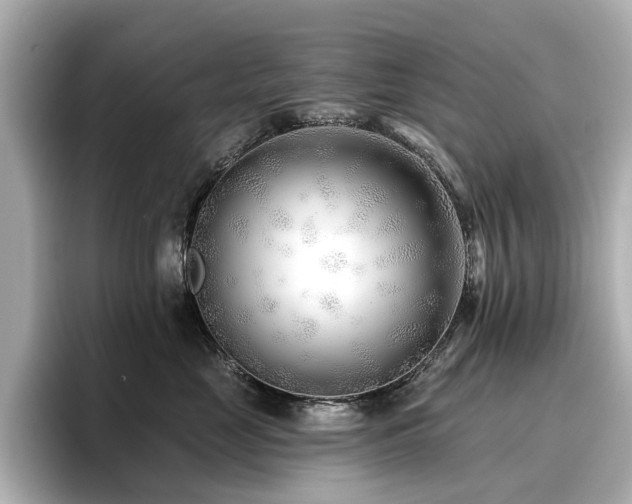 X0000096720669200802051444