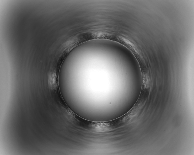 X0000096720670200802051444