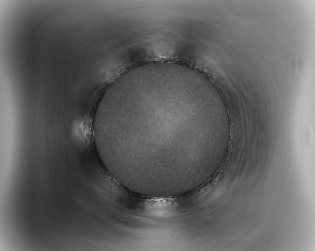 X0000096720672200802051444