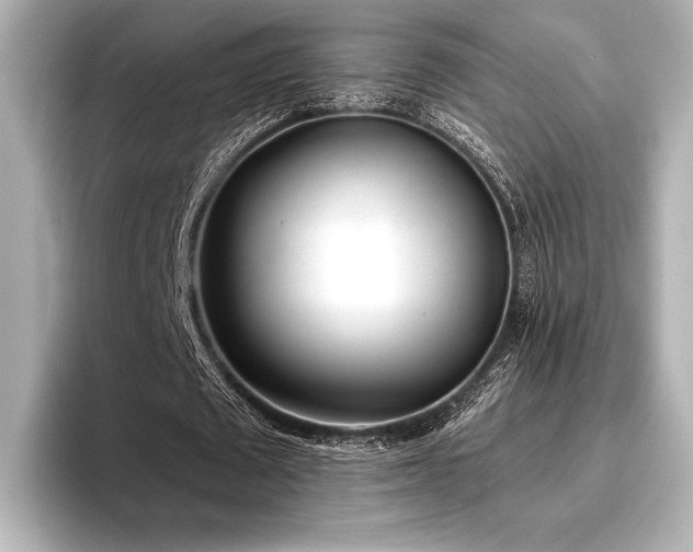 X0000096720673200802051443