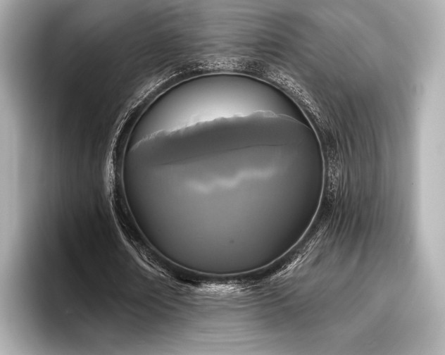 X0000096720674200802051443