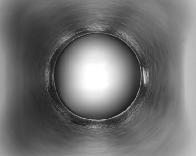 X0000096720675200802051443