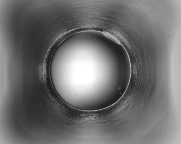 X0000096720676200802051443