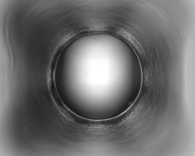 X0000096720677200802051443