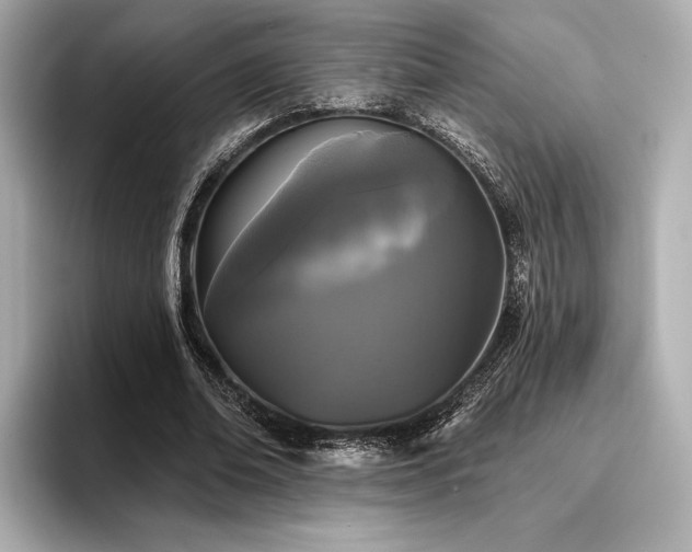 X0000096720678200802051443