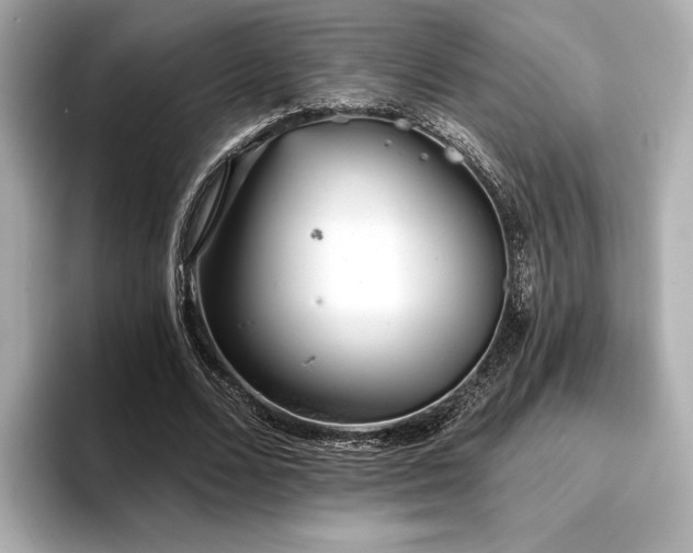 X0000096720680200802051443
