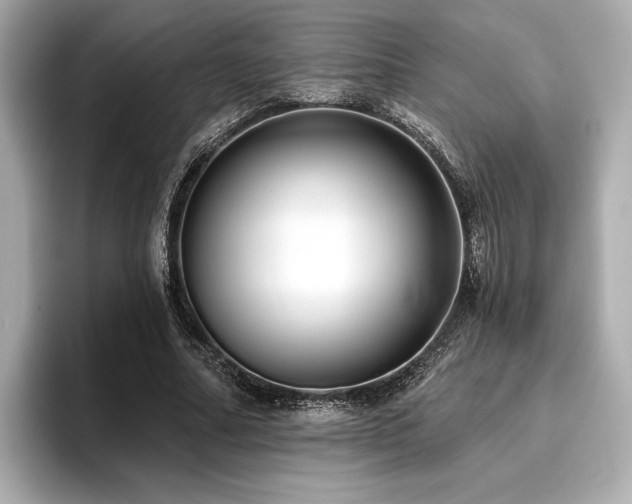 X0000096720682200802051443