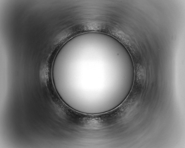 X0000096720683200802051443