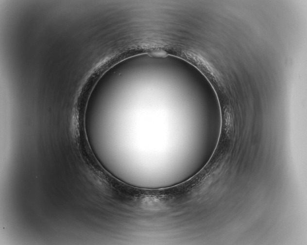 X0000096720684200802051443