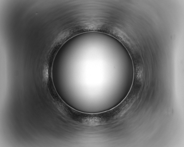 X0000096720685200802051443
