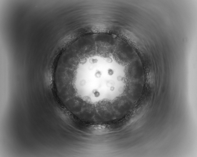 X0000096720687200802051443