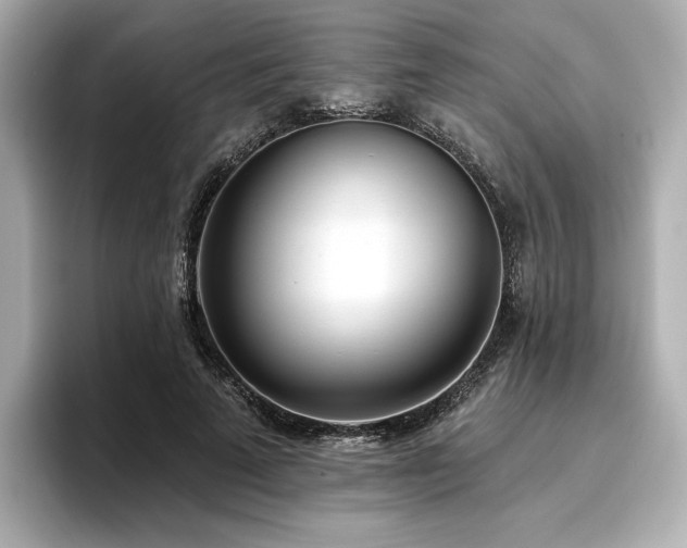 X0000096720689200802051443