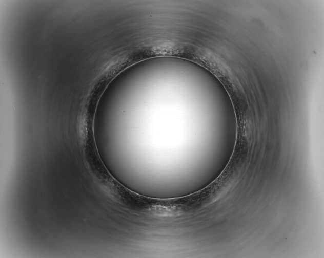 X0000096720690200802051443