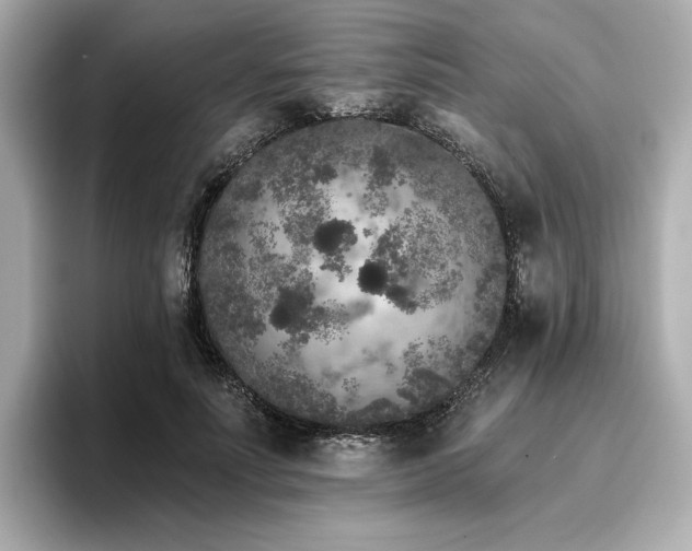 X0000096720691200802051443