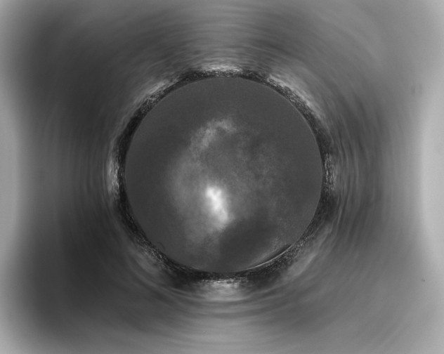 X0000096720692200802051443