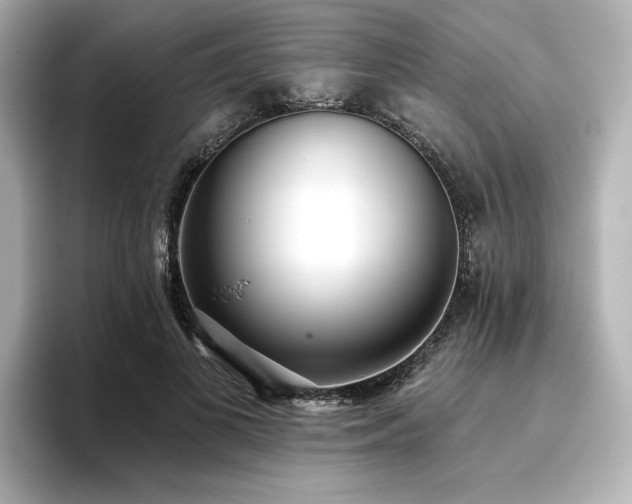 X0000096720693200802051443
