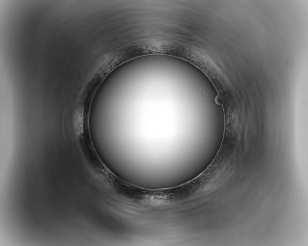 X0000096720694200802051443