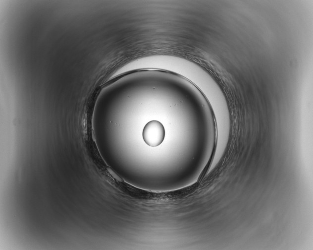 X0000096720696200802051443