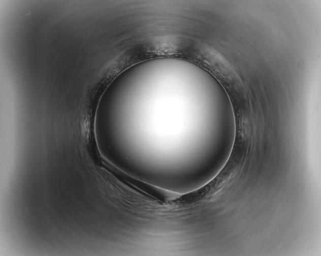 X0000096720697200802051443