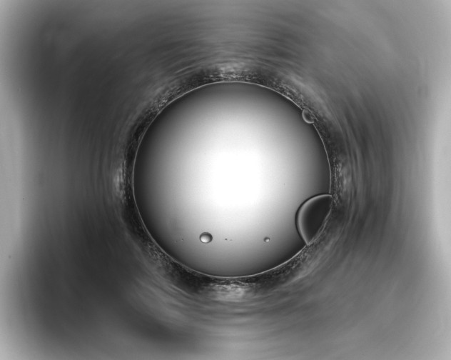 X0000096720698200802051443
