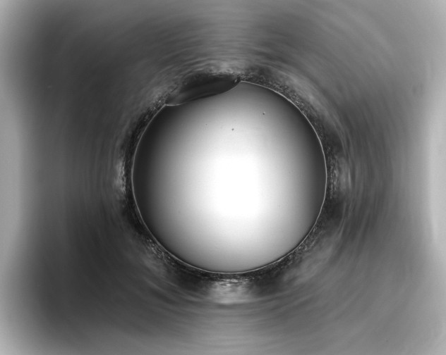 X0000096720700200802051443