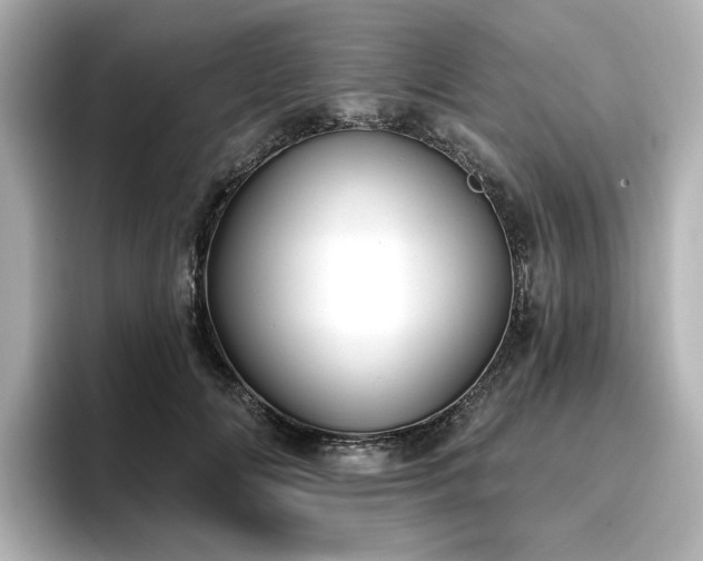X0000096720702200802051443