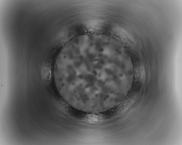 X0000096720703200802051443