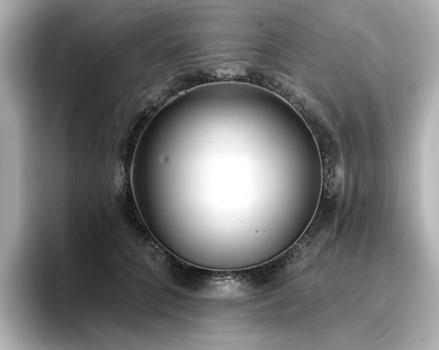 X0000096720704200802051443