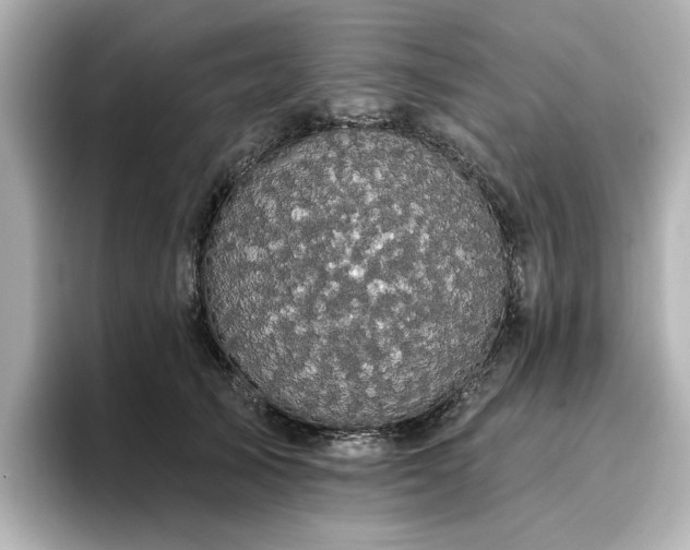 X0000096720705200802051443
